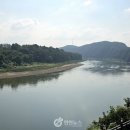 평화강변수목캠핑장 이미지