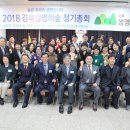 생명의 숲 이미지