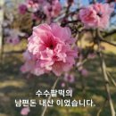 아이통곡모유육아상담실 | 대전 탄방동 아이 통곡 모유 육아 상담실