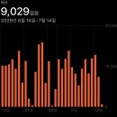 한일오토카 | 레드썬