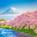 2024년 일본 벚꽃 개화 시기와 벚꽃 명소 10곳 이미지