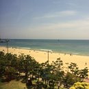 신토불이 투 이미지