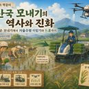 예나인력 | [기억의 책갈피] 한국 모내기의 역사와 진화: 손 모내기에서 자율주행 이앙기와 드론까지