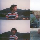 양성초교병설유치원 이미지