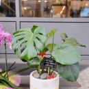 파리바게트 사직롯데점 이미지