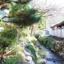 미강펜션민박 이미지