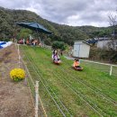 판곡농장 이미지