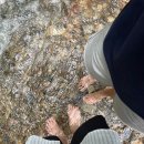 706 | [서울 근교 1박2일] 양평 용문사, 양평 에피소드706펜션 후기