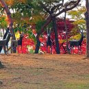 우제류를위하여 이미지