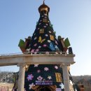 5살아이 에버랜드 1년간의 연간이용권 후기. 아직은 이른 나이인 것 같다. 에버랜드 연간이용권 재가입...