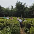 제 839회차 산행 ~ 7월12일(일) 호암산(393m) 이미지