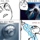 더쫌