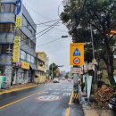 제주북초등학교 이미지