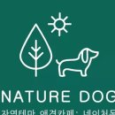 네이처독
