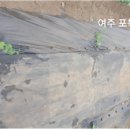 여주-0616 이미지