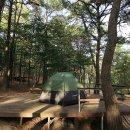 관촉사거리 전약국 앞 | [충청남도 예산군] 파인힐캠프