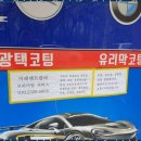 덴트칼라 이미지