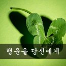 네잎클로버 이미지