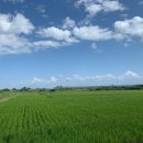 썬플라워 태양광발전소 이미지