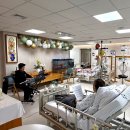 호스피스에서 늦가을의 정취를... 이미지