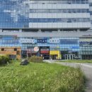 밸런스요가 | 장지동 요가 직장인 밸런스 요가