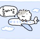 비욘더블루 이미지