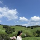 떼루아분식 | Scorcher