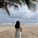 보니소네트 이미지