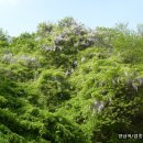 양심농장 이미지