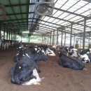 부농목장 이미지