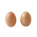 eco green farm | 3월 Wish List | 킴해킴 파사드패턴 제이미원더 Seasheer 쓰리타임즈 해브리스 rp.market 큐컴버스 IKEA...