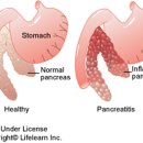 물빛동물병원 이미지