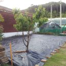 예성농장 이미지