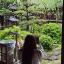 일본 마쓰야마 유유버스투어 후기｜우치코·오즈·시모나다 하루 코스 내돈내산 솔직후기