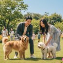 댕댕셰프 | 김해 댕댕파크에서 반려견과 즐거운 시간 보내는 법과 방문 시 주의사항