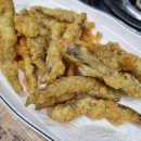 댕댕이 머리하는 날 이미지