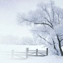 처연의 소리 이미지