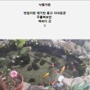 낙원가든 이미지