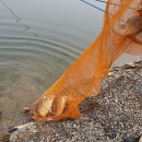 광탄낚시터 이미지