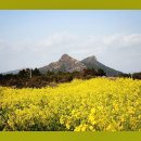 (주)자유환경