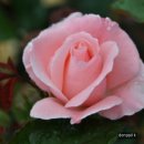 좋은생각 이미지