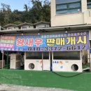 금호수산 이미지