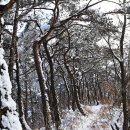 학림동 이미지