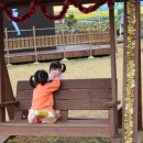 한땀목장 이미지