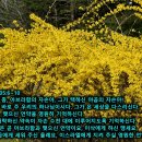아브라함의 상속자들