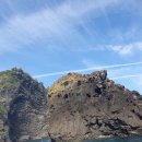 뉴월드시스템 이미지