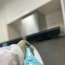 세종방역
