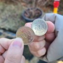 끄적끄적 2월