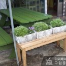 넥서스그린 이미지