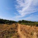 진달래를 닮은 타원형의 바위섬 마라도 麻羅島 이미지